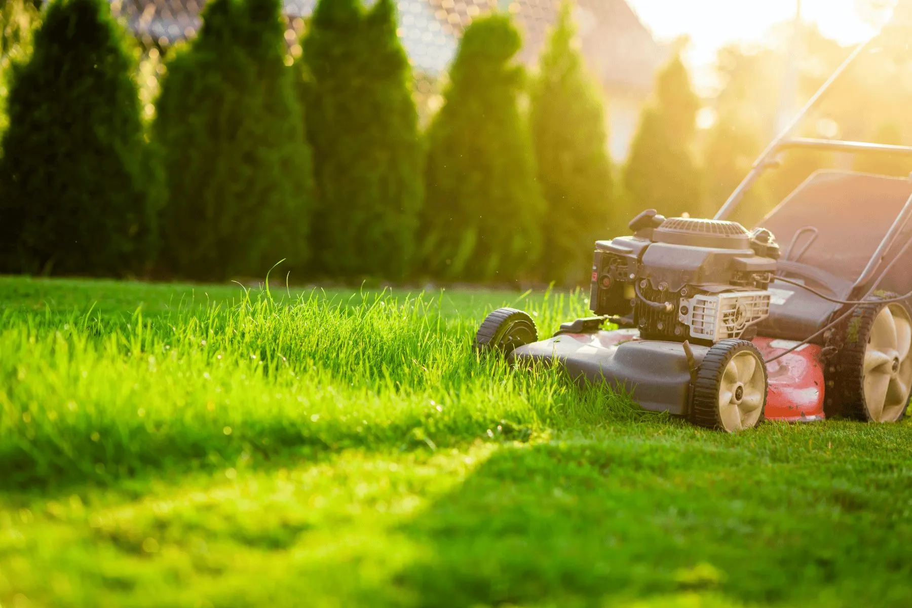 Lawn Care